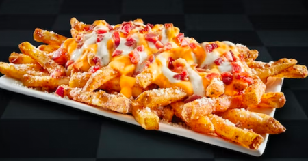 checkers loaded fries