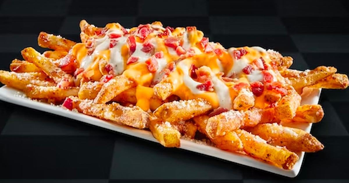 checkers loaded fries