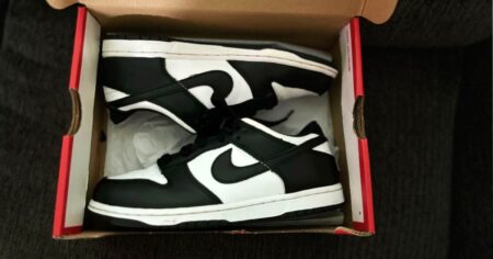 nike dunk panda low