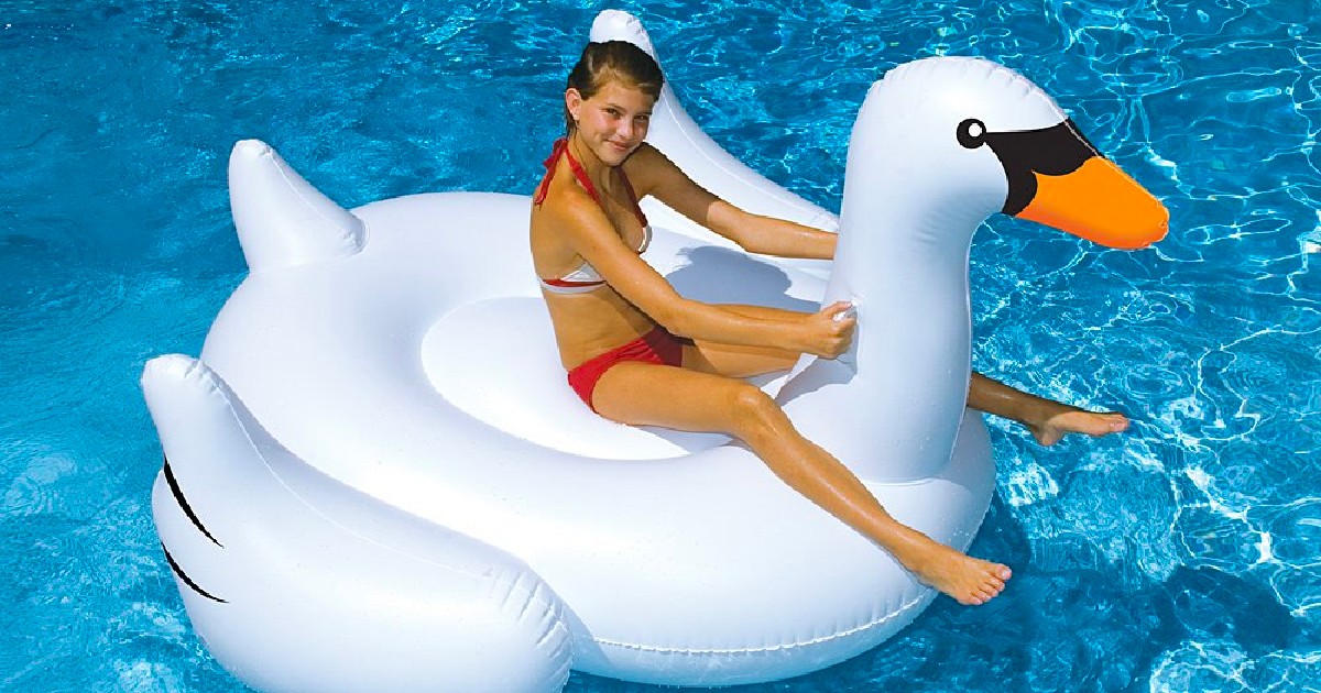 swimline swan
