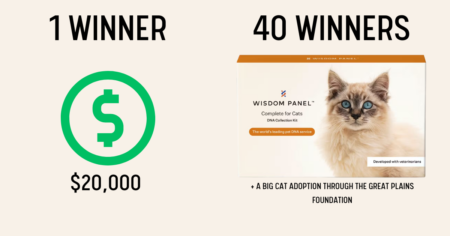 Champion Petfoods Orijen Cat Safari Contest