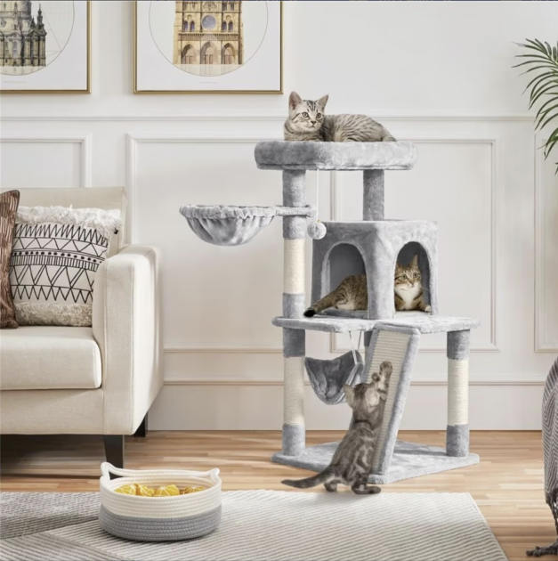 Screen Shot at PM Screen Shot at PM