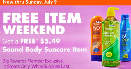 big lots suncare
