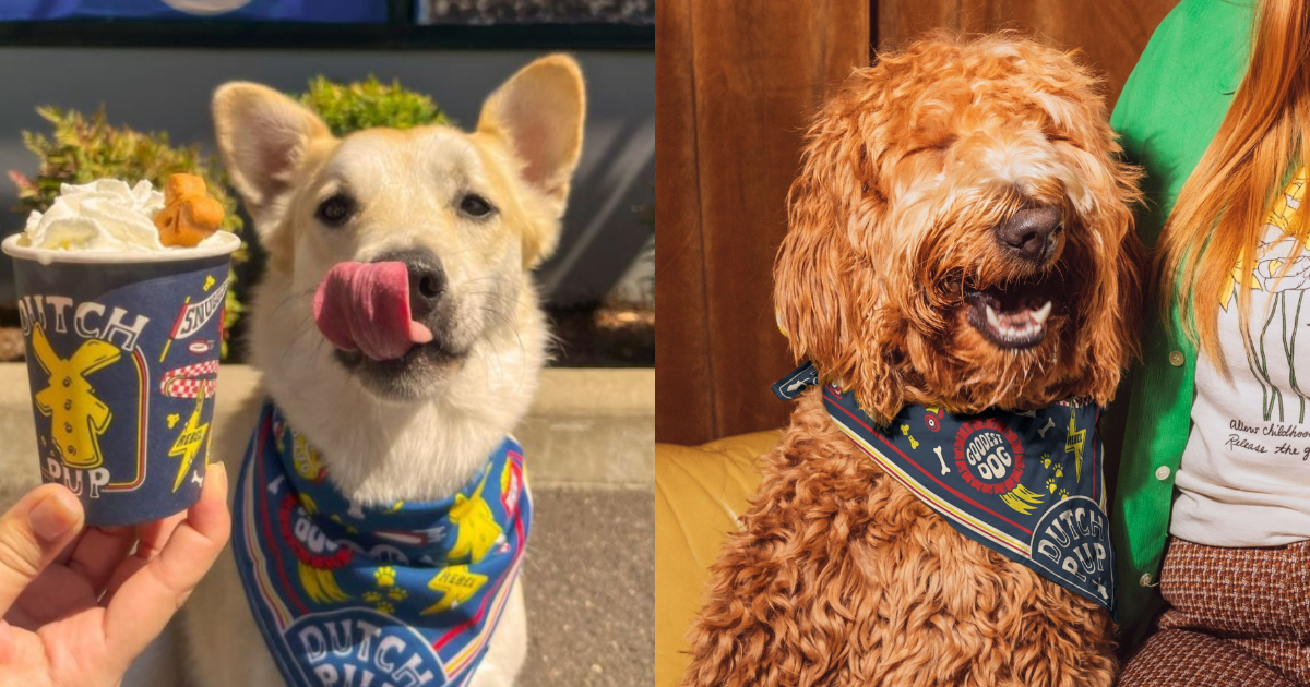 Free Pet Bandana with Drink Purchase at Dutch Bros on August th