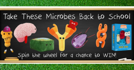 GIANTmicrobes Back to School IWG