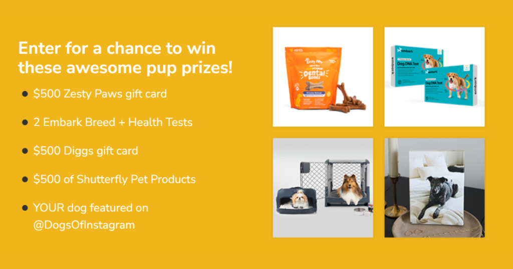 Summer Lovin Giveaway