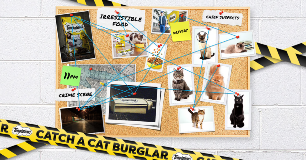 TEMPTATIONS Catch a Cat Burglar Sweepstakes