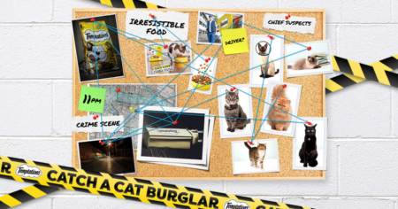 TEMPTATIONS Catch a Cat Burglar Sweepstakes