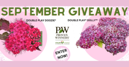 black gold september giveaway