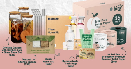 ecoHiny Eco Clean Home Giveaway