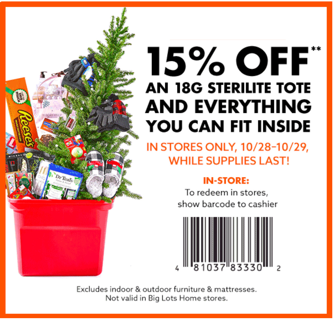 Big Lots Tote Coupon