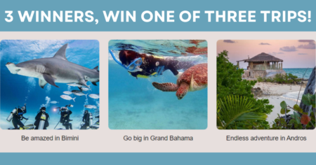 CORAL IS CALLING Sweepstakes