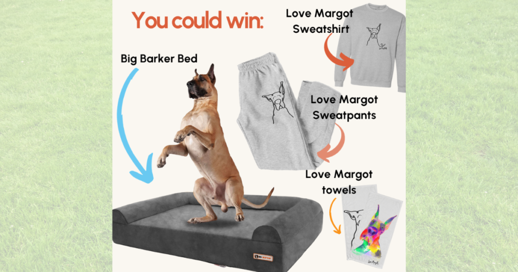 Win a Big Barker Bed Love Margot Gear Giveaway