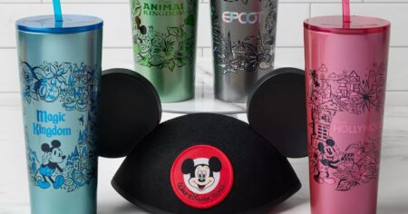 disney tumblers