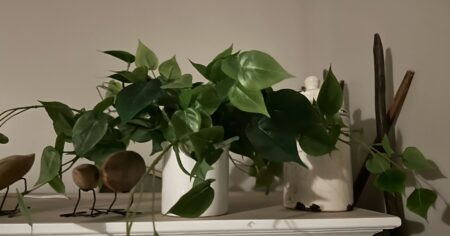 target artificial faux plants scaled