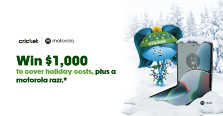 Days of Cricket Holiday Sweepstakes