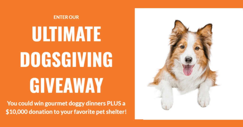 ASPCA Pet Health Insurance Ultimate DogsGiving Sweepstakes