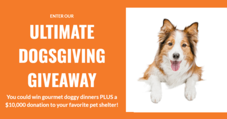 ASPCA Pet Health Insurance Ultimate DogsGiving Sweepstakes