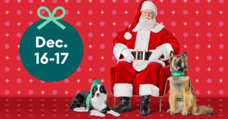 Free Pet Photo With Santa At Petsmart On Dec
