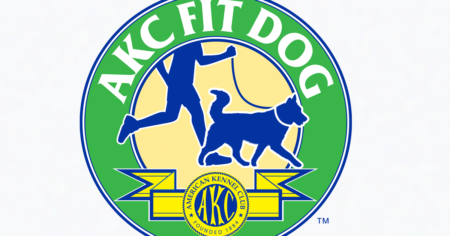 akc fit dog