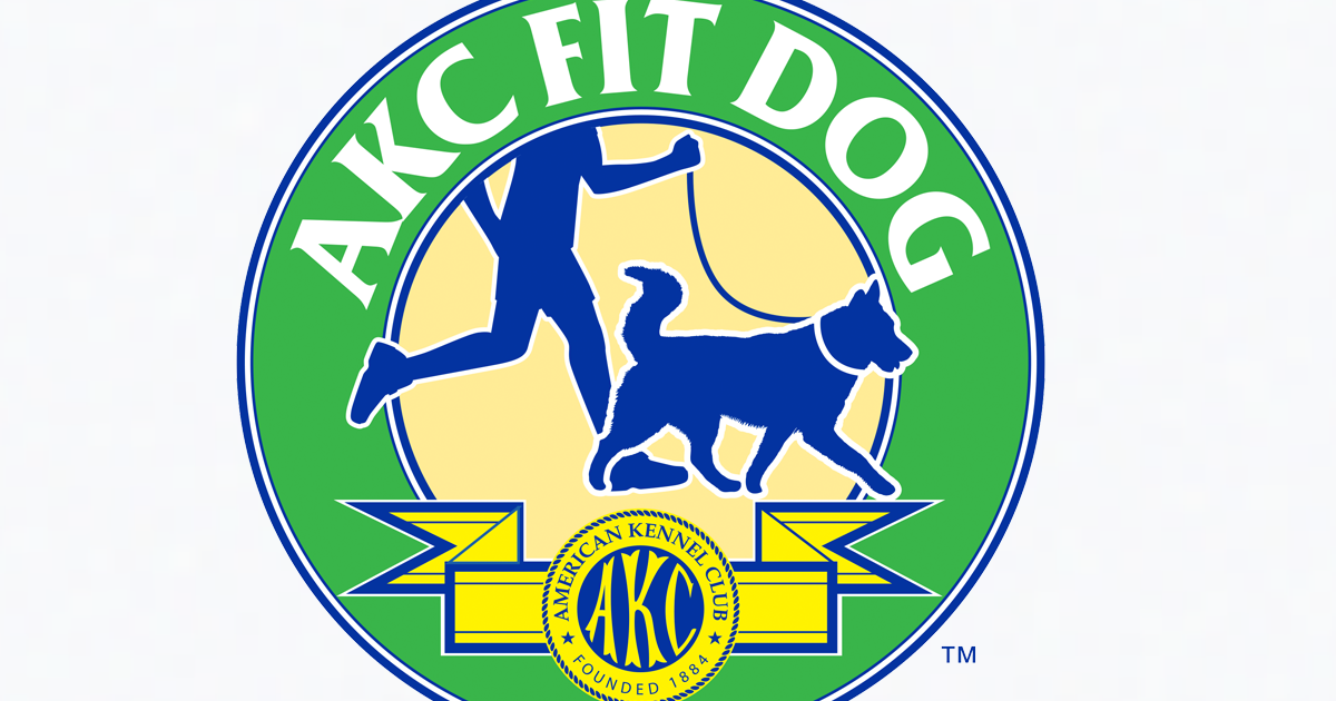 akc fit dog