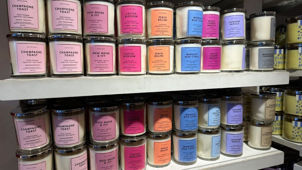 Bath and Body Works Single Wick Candles x