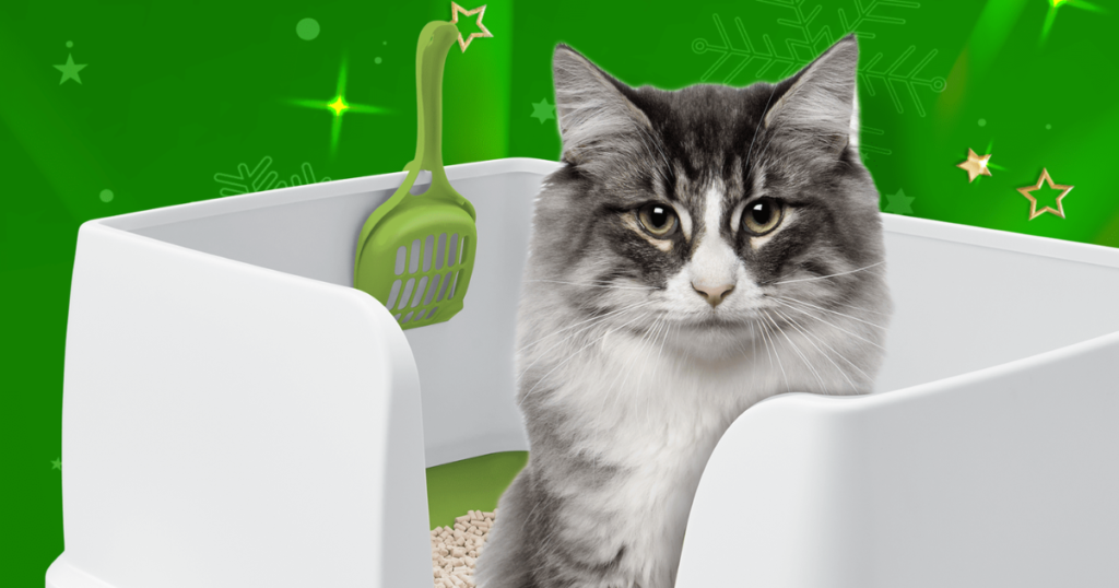 Purina x Fooji Making The Holidays A Breeze Promotion