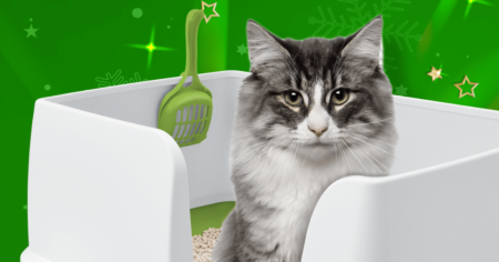 Purina x Fooji Making The Holidays A Breeze Promotion