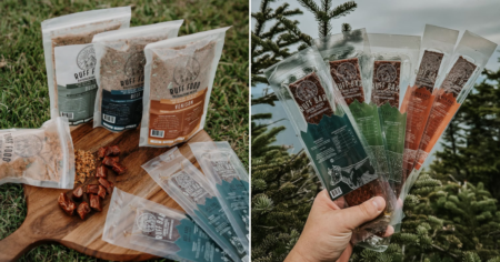 Terrain D O G New Years Dog Gear Giveaway