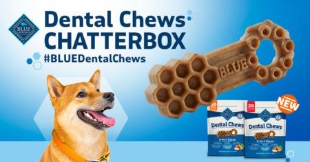 blue dental chews