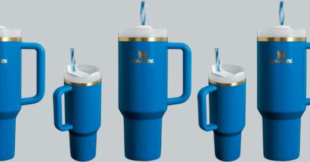 Stanley Arctic Twist