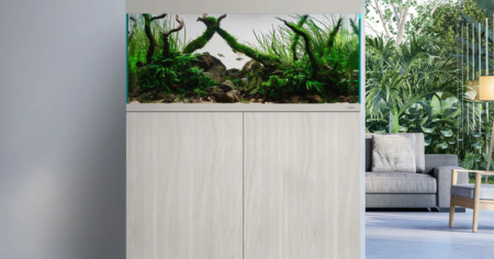 WATERBOX Freshwater Aquarium Giveaway