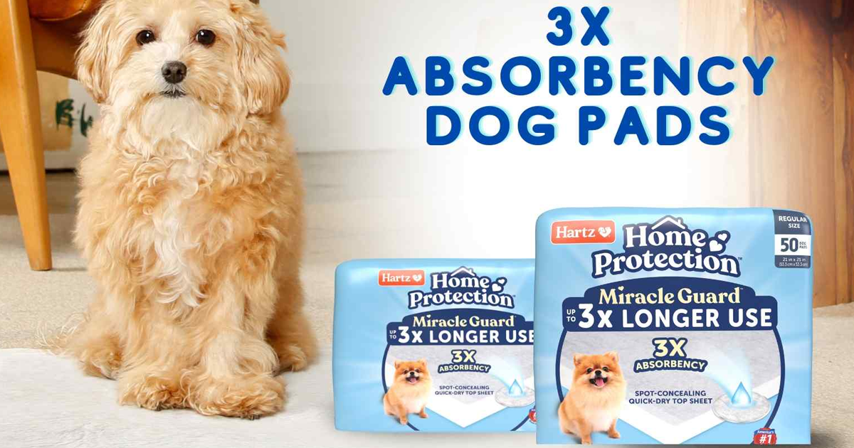 dog pads