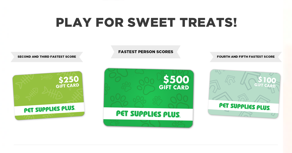 pet supplies plus