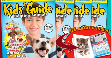 peta kids guide