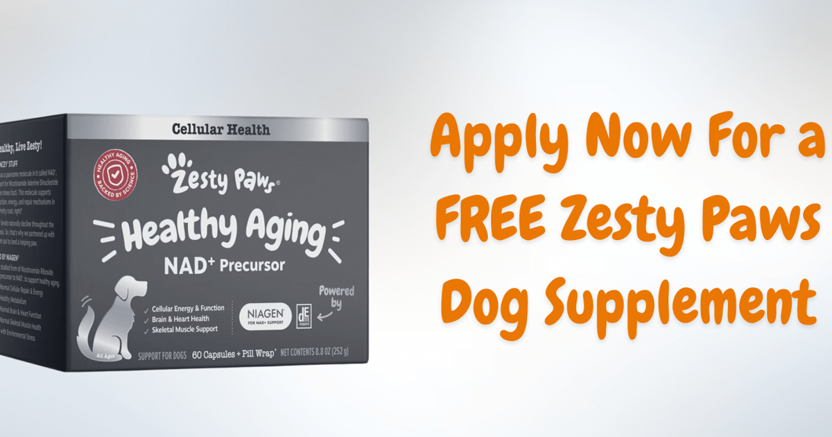 zasty paws dog supplement