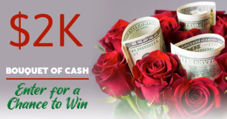 Choose Your Own Campaign Sweepstakes