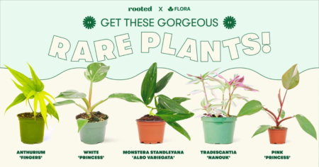 Flora x Rooted Giveaway