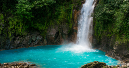 Jeffersons Bourbon Dreaming of the Tropics Contest