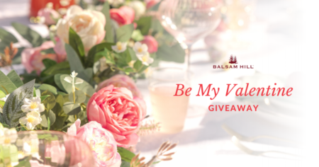 balsalm hill be my valentine giveaway