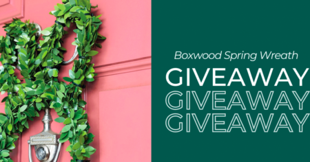 boxwood spring wreath