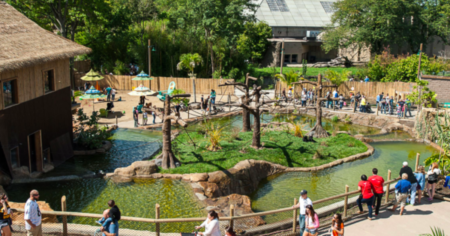 jack wolfskin zoo giveaway