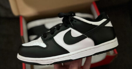 Nike Panda Dunk Lows