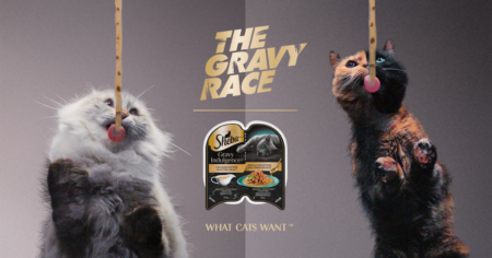 SHEBA Gravy Race Sweepstakes