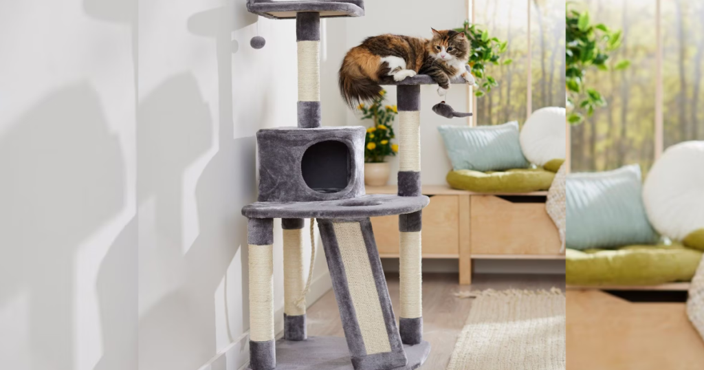 cat tower chewy condy cat tower chewy condy