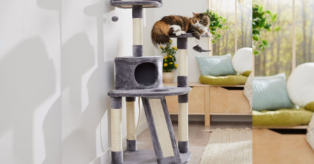 cat tower chewy condy