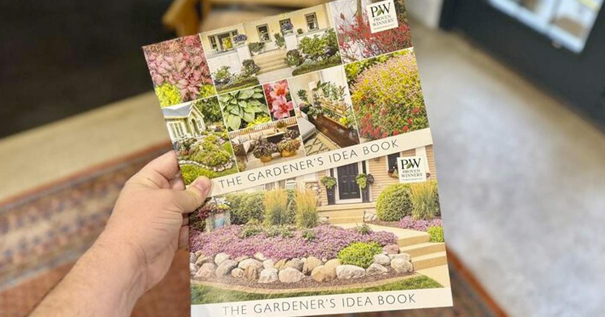 kendall proven winners