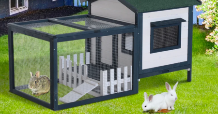 rabbit hutch