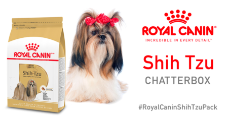 royal canin shihtzu