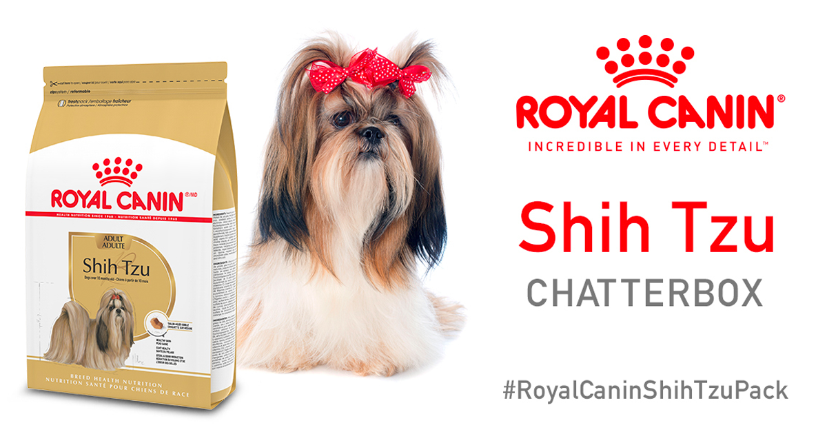 royal canin shihtzu